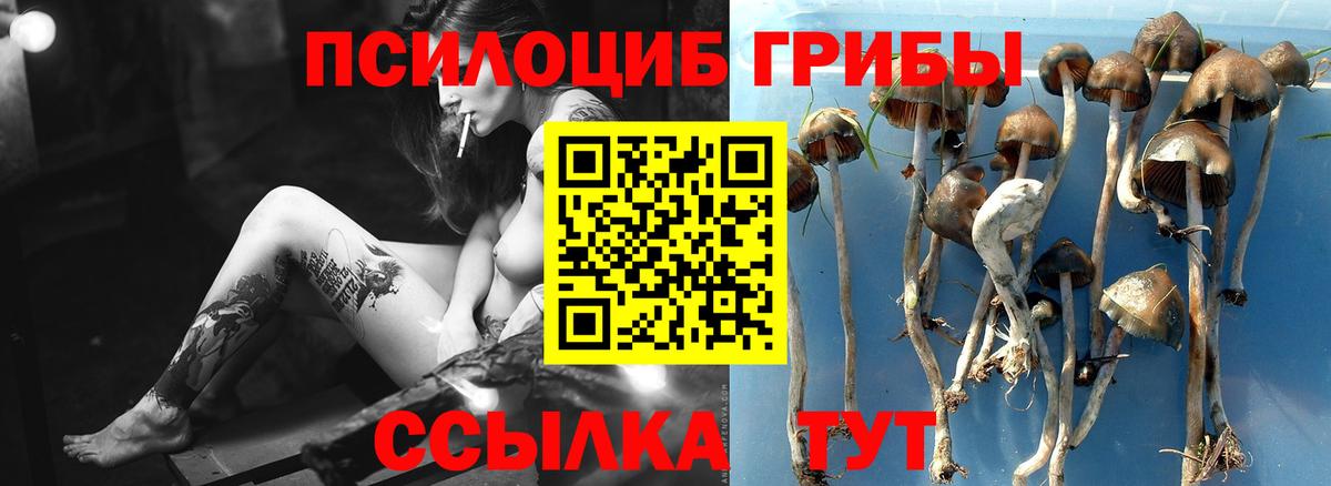 купить закладку  Галлюциногенные грибы мицелий  Вход с VPN  Пугачёв 